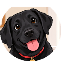 Molly the black lab